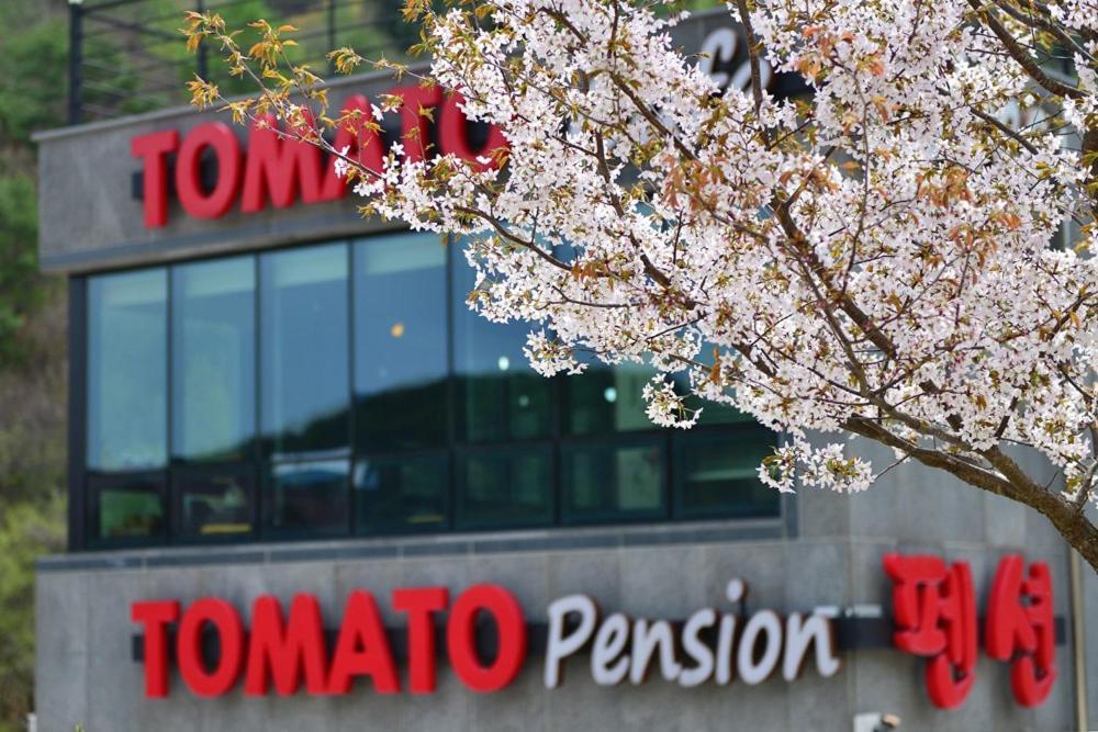 Hwacheon Tomato Pension Bagian luar foto